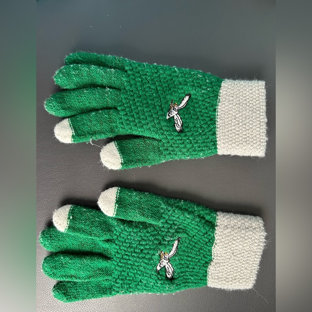 Philadelphia Eagles Knit Gloves with Smart Touch